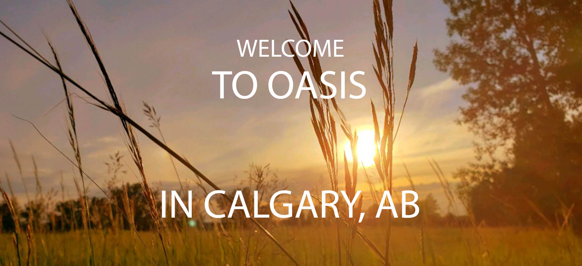 OASIS mobile home park